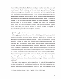 www.speros.lt